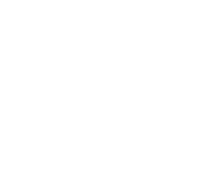 White Franworth logo